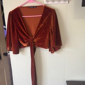 Nasty Gal Rust Velvet Top